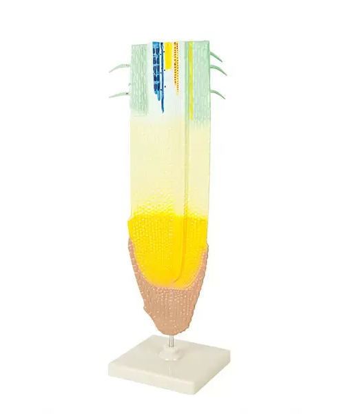 CS131-QH0011