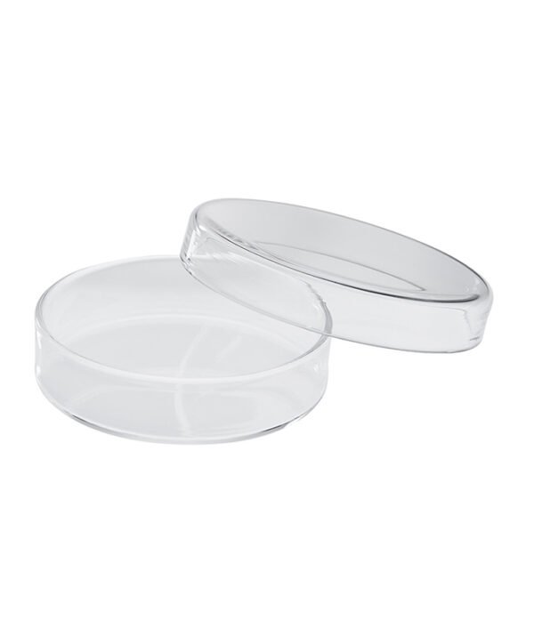 Petrijeva zdjelica 60/55 mm PE