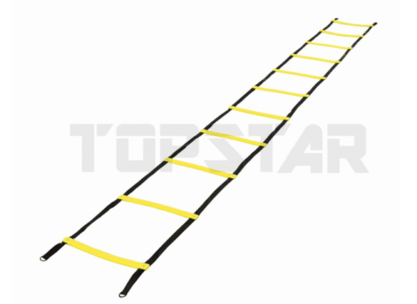 Ljestve za koordinaciju (600 cm) Topstar