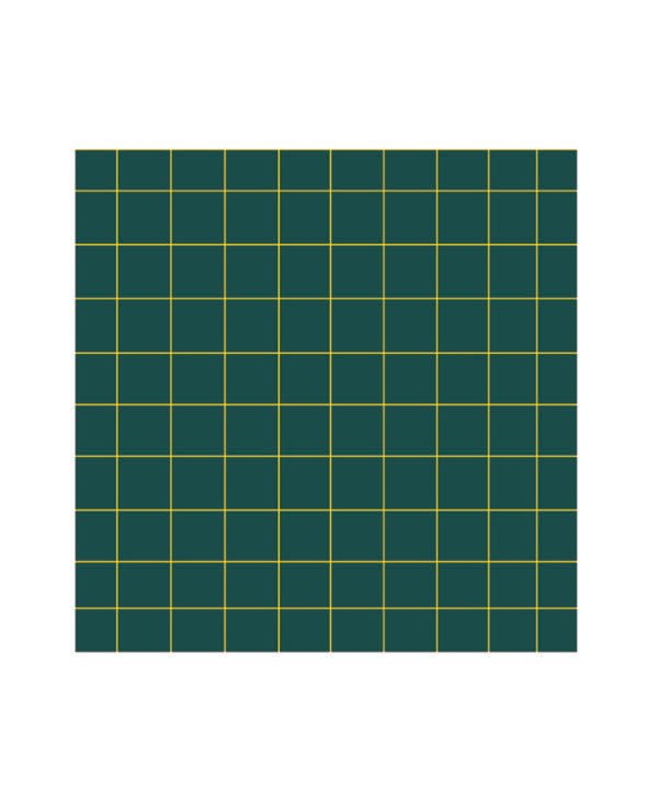 Crtovlje za školsku ploču: kvadratići 10×10 cm